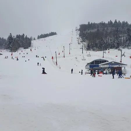 Lägenhet Belle Hutte Cote Pistes De 2 La Bresse