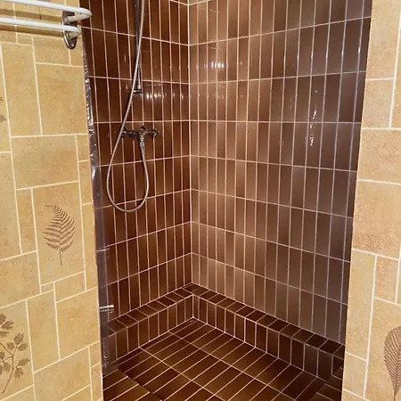 Belle Hutte Cote Pistes De 2 * La Bresse