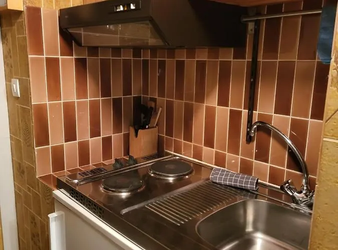 Belle Hutte Cote Pistes De 2 * La Bresse