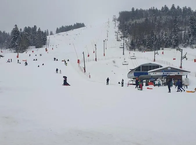 아파트 Belle Hutte Cote Pistes De 2 라브레세