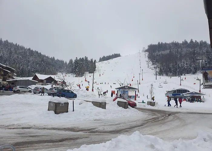 Belle Hutte Cote Pistes De 2 La Bresse