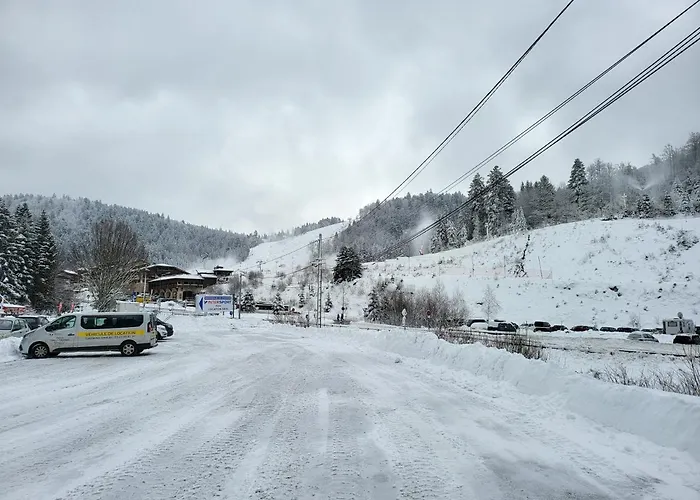 Belle Hutte Cote Pistes De 2 *