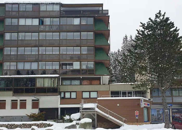 Belle Hutte Cote Pistes De 2 * La Bresse